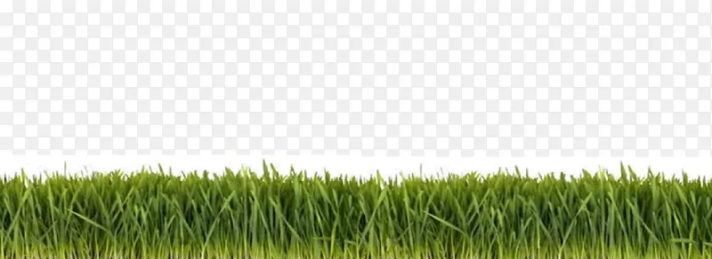 ����ѧϰ�ݱ������ƺ����-������