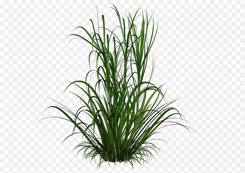 ������-�̲�-������