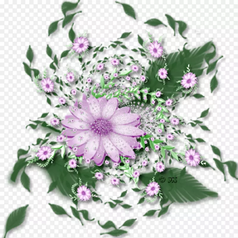 ������Ƽ���������-������