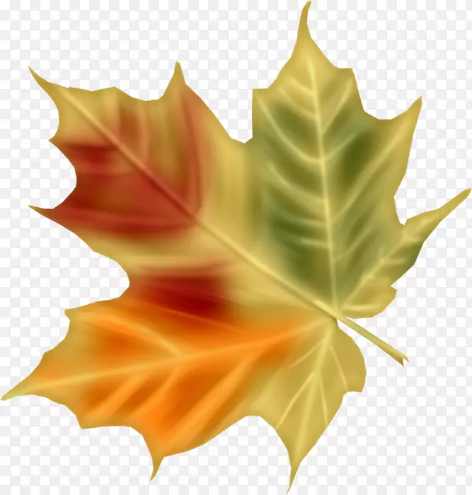 ����滭-������