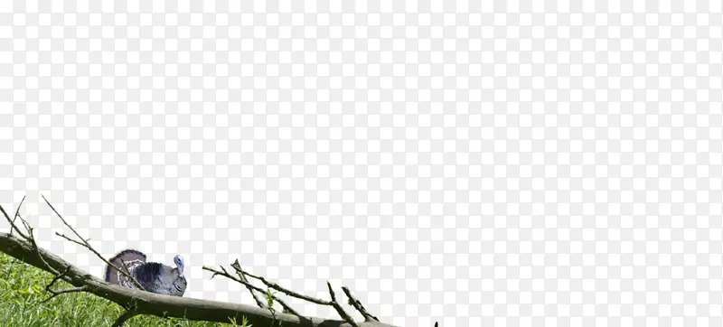 ����Ь��-������