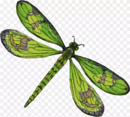 ���Ѽ�����-����-������