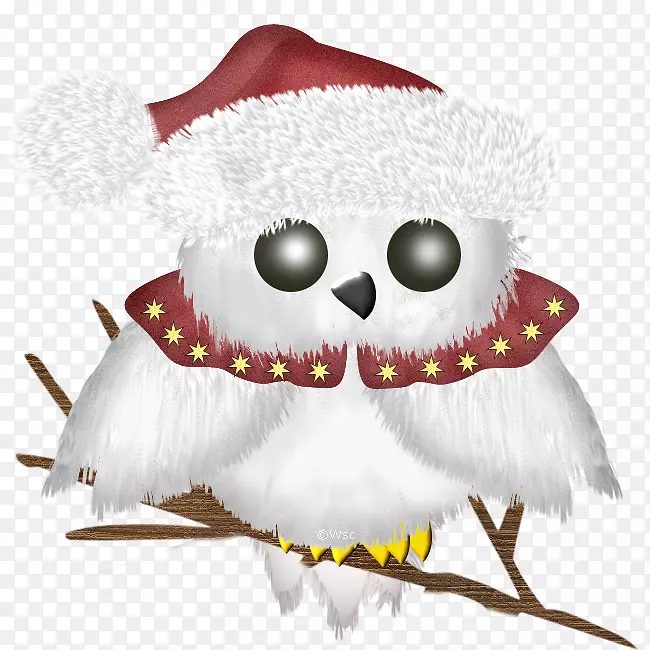 ʥ������ʥ��װ��Ʒ�����ʼ�-ʥ������-������