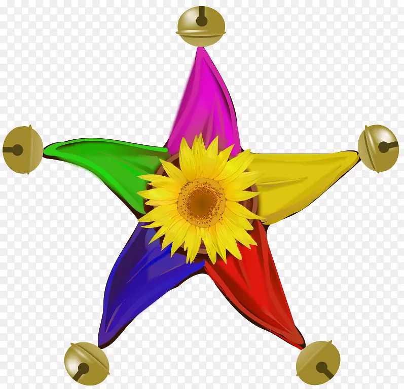 �л���������ţ�����ֲ��.����-������