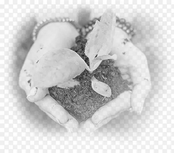 �ڰ���Ӱ������Ӱ���ƻ�������-������