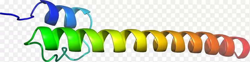 �����鱦Ʒ�Ƽ�����-�鱦-������