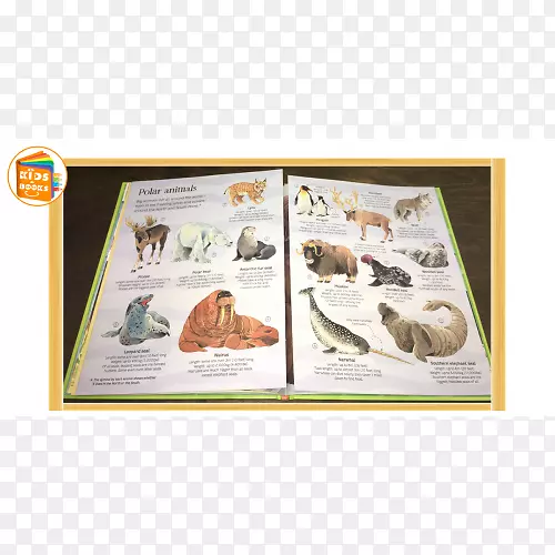 ������-��-�������İ��޶���-������