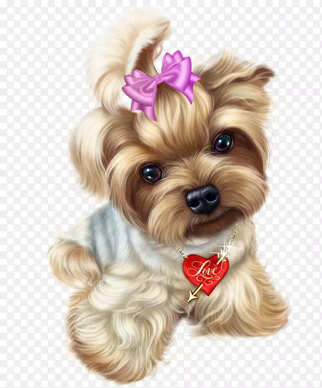 è��С��Լ�˿�Ȯ-è-������