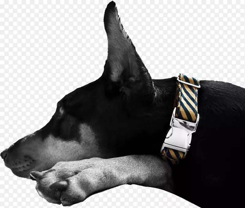 �Ĵ����Ǻ�������ȦС��Ʒ��-С��-������