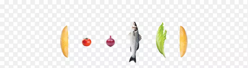 �����ֽ�������-������