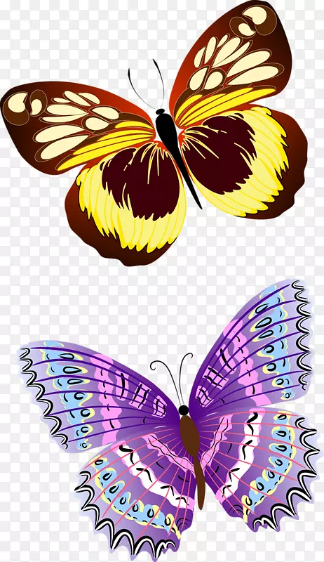 ��������-����-������