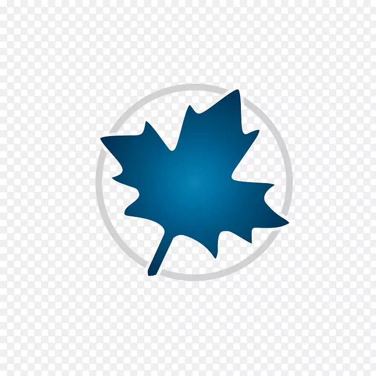 �����������ѧ-������