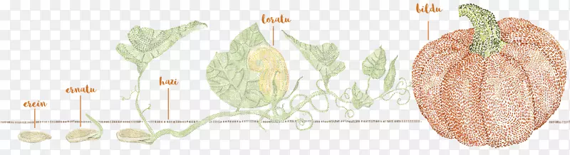 ����ֲ����Ʒֲ�ﾥ�߲�Ҷ-�߲�-������