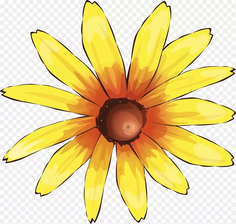 �Գƽ��-������