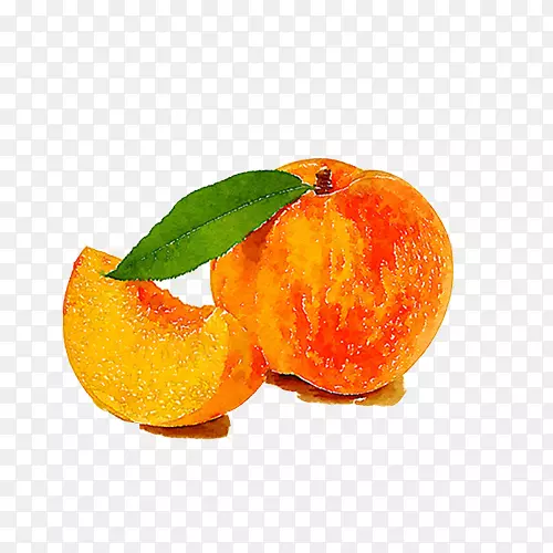 ˮ�ʻ�.����ˮ�ʻ�����ͼ-������