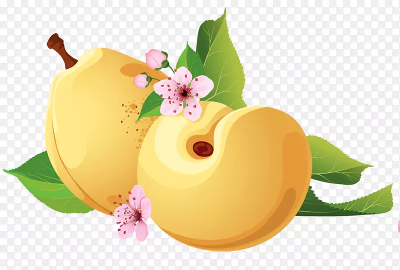 ѩ��-��ֻ��ɫѩ��-������