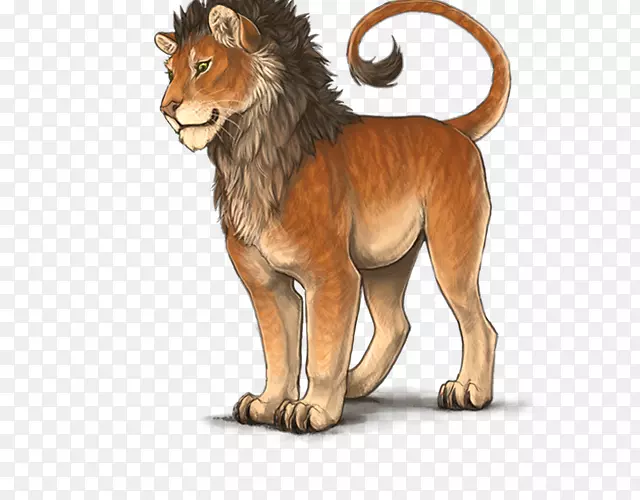 ��è½������ëƤҰ������-è-������