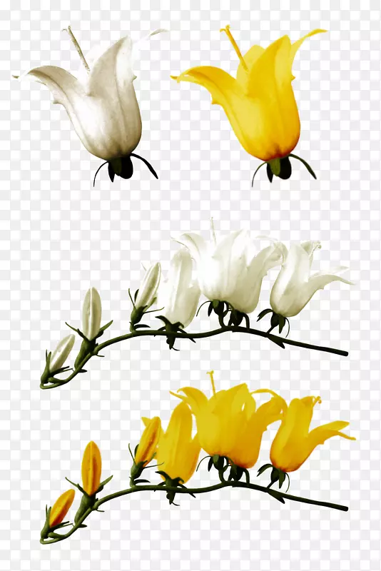 ˮ�ʻ�����ˮ�ʻ�-������