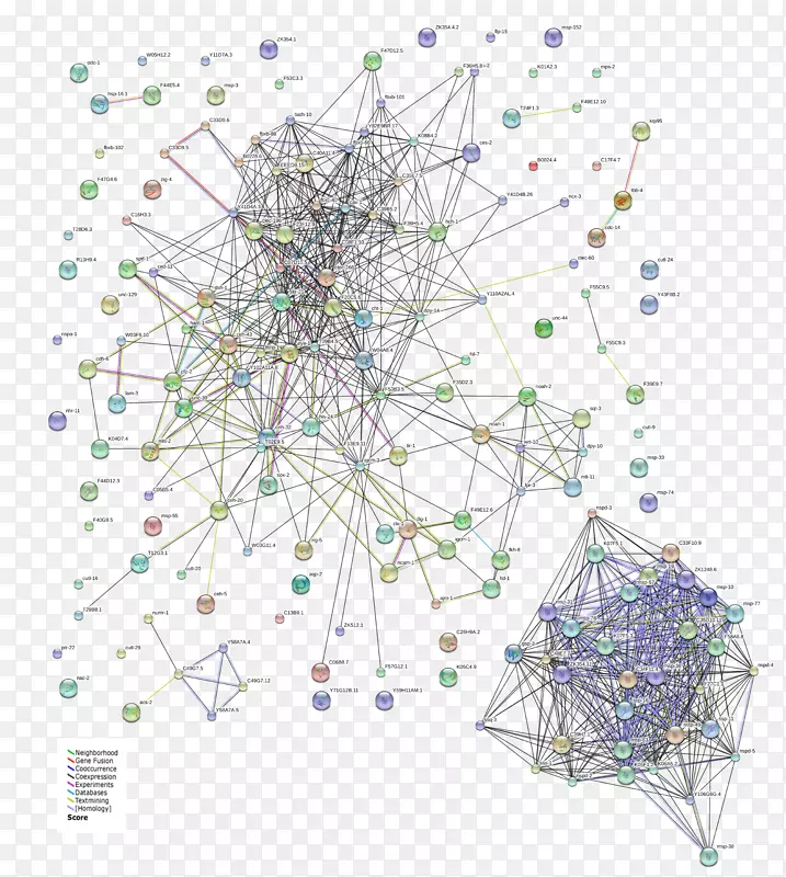 �Գ�������-������