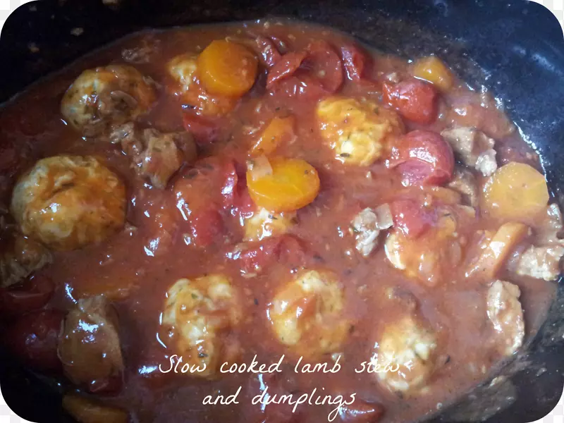 ��֭����ʳ�׿�����������-������