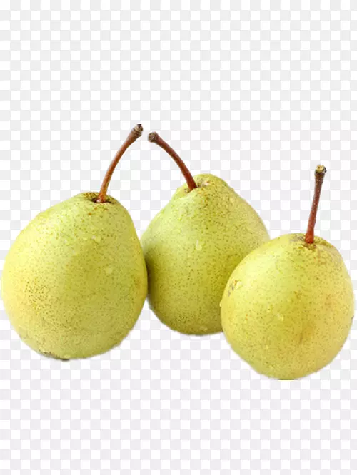 ������˫���˰˽�-����-������