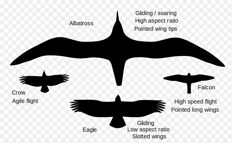 ������г�����˶�-��-������