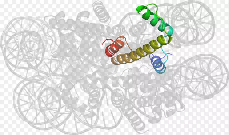 �����߼�������-������