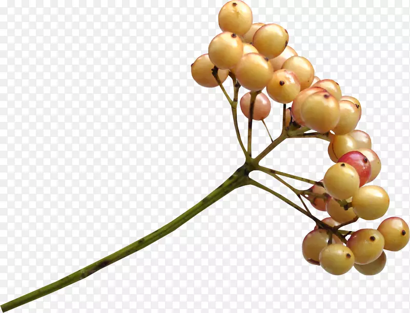 �����¸���˹��Ӱ������-����-������