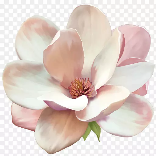 ������-������