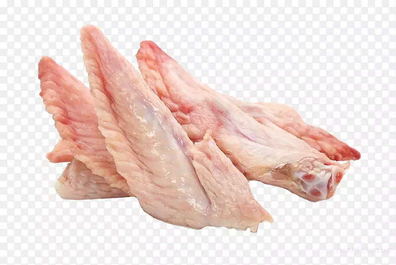 ˮţ������Ϊʳ���⼦-������