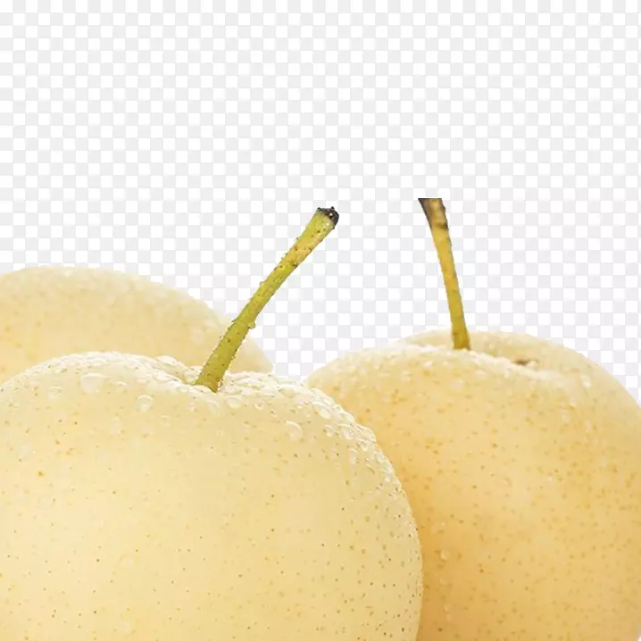 ѩ�������Ӱ¸���˹����HD-������