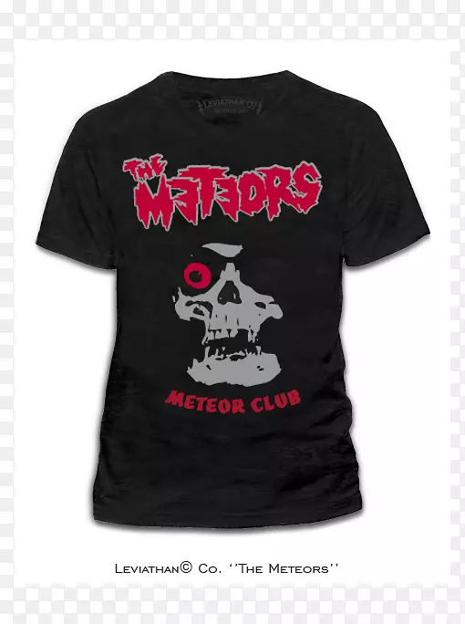 t����ñ������t��-������