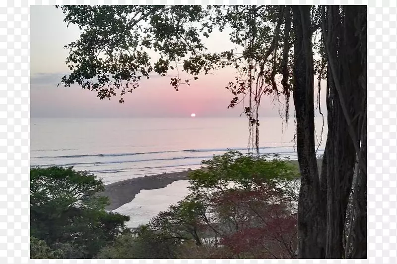 ���������plc-��-������