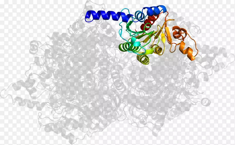 ���߼�����-��-������