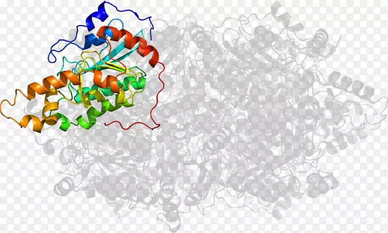 ���߼�����-��-������