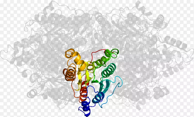 ���������ֽ���ۻ�����������-������