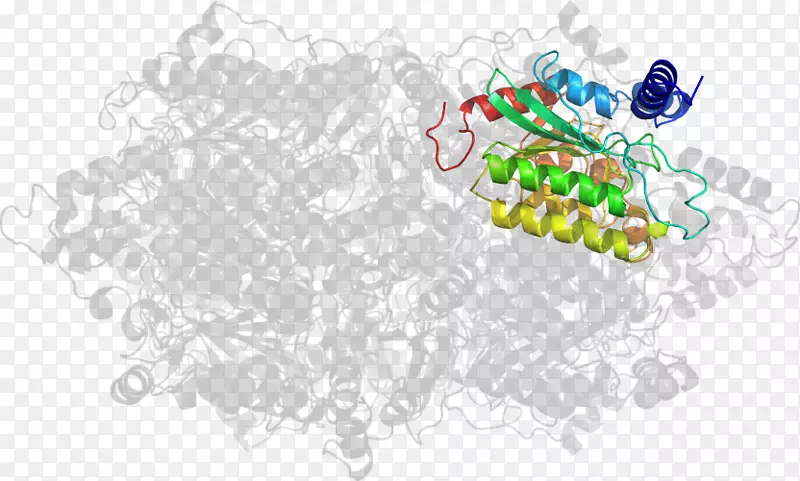 ��-��-������