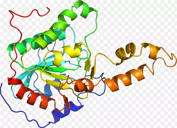 �޼�׵����ʳ���߼�������-������