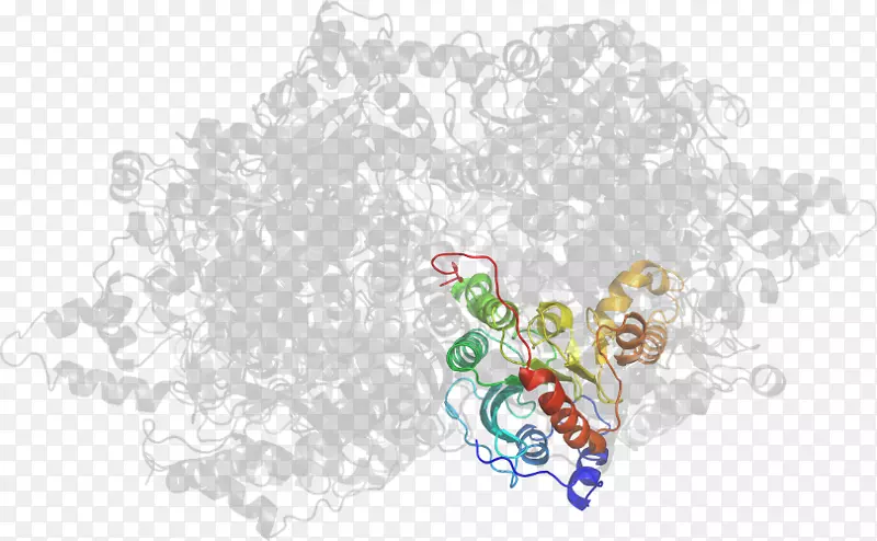 ��ͨ��������-������