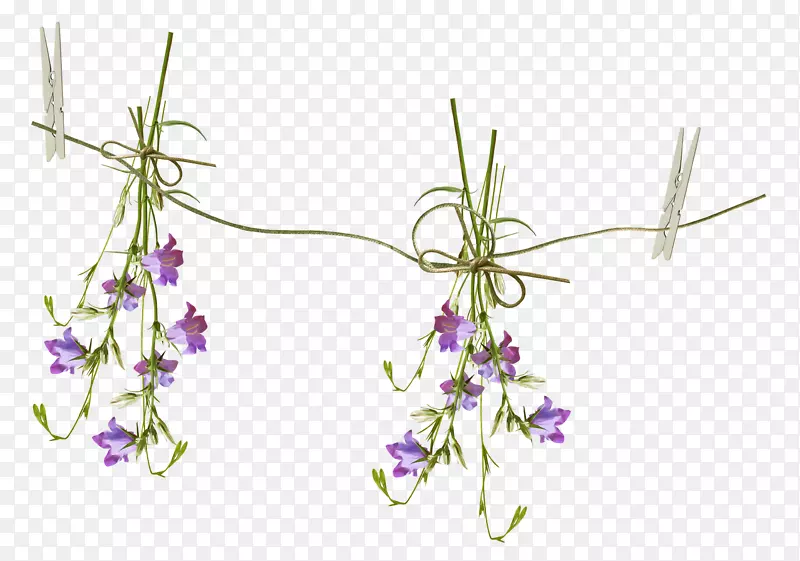 õ���л�-������