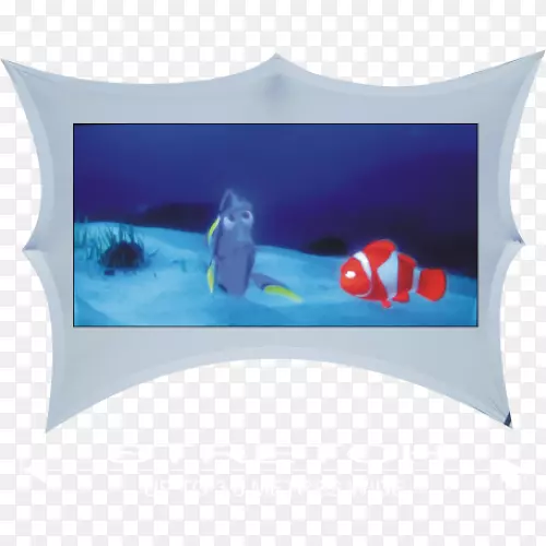 ͶӰ��Ļ��Ͷ����ͶӰ�Ǽ����������ͶӰ��-������