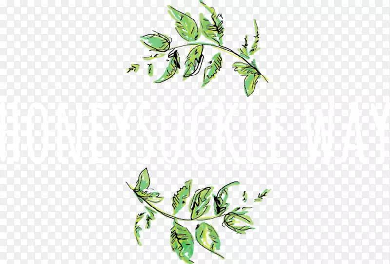 ������������ƻ���-������