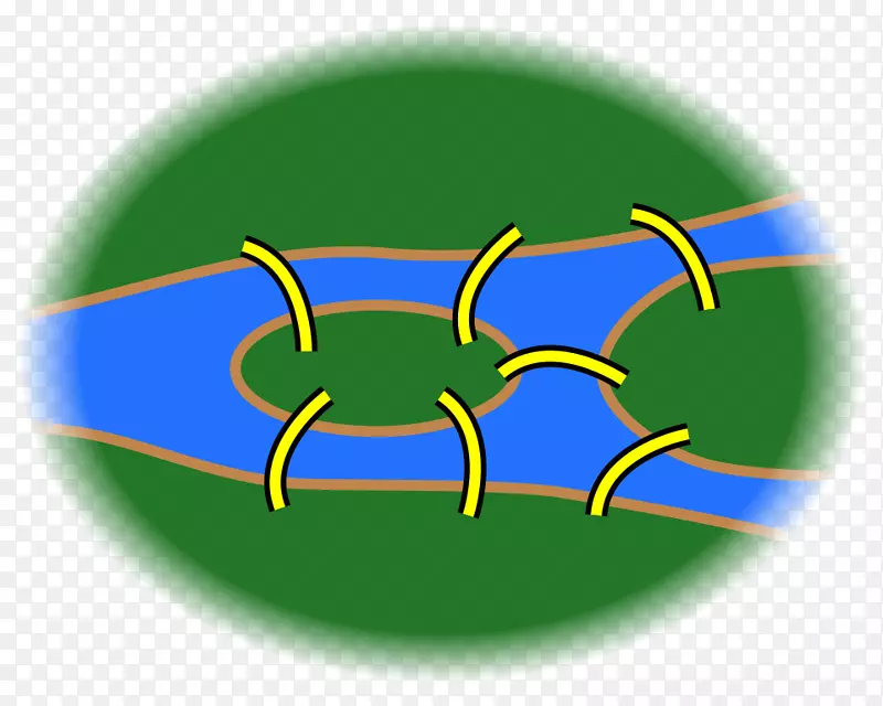 k nigsberg Kaliningradŷ��·������������ѧ����-��ѧ-������