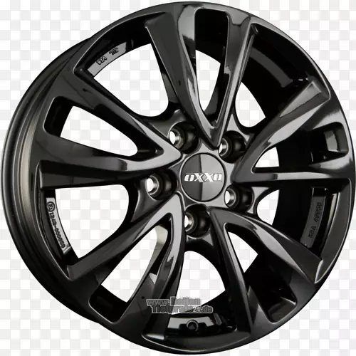 ���������Ͻ��ָ���Ұ����-������