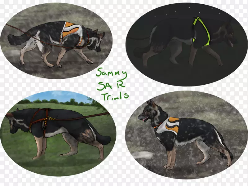 ����-������