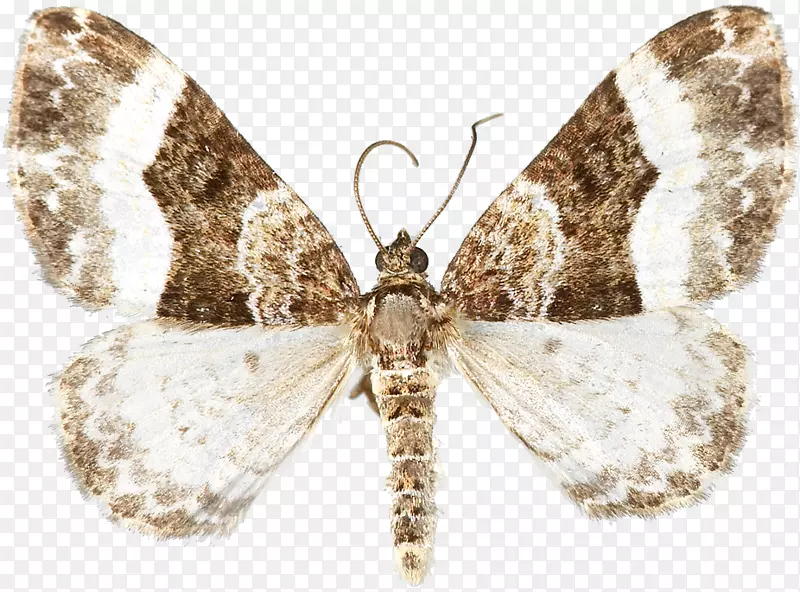 ����-������