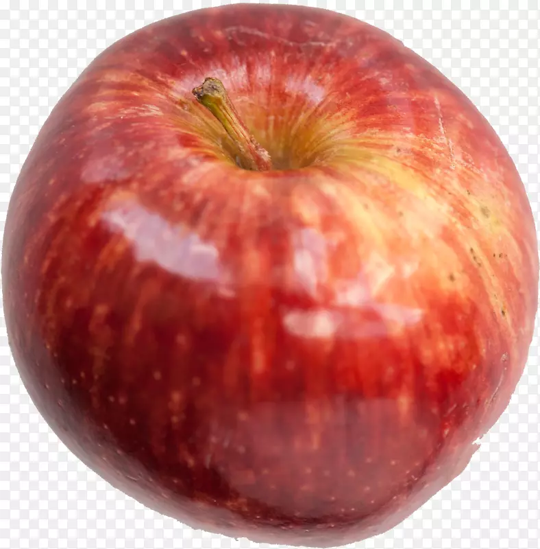 �¸�����-������