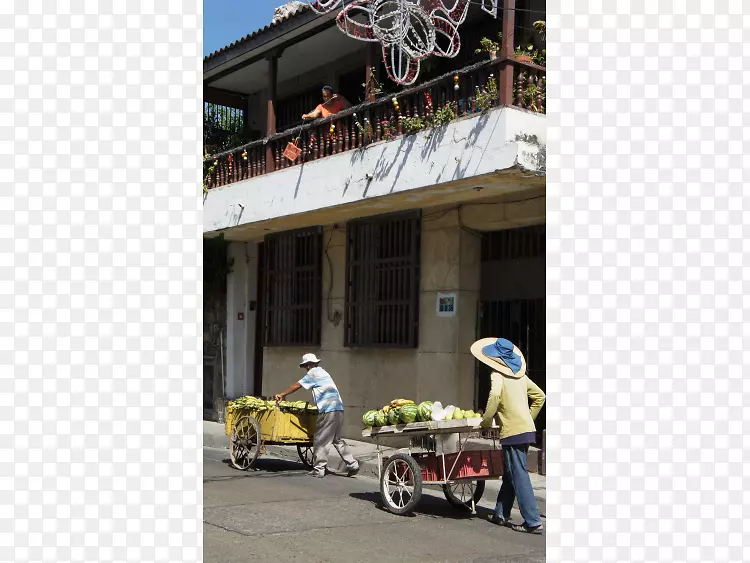 ����Ʋ�����-������˹-������