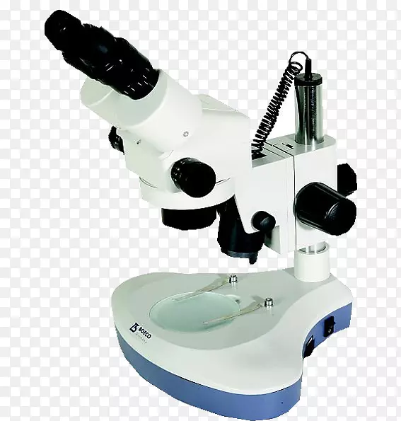 ʵ���Ҳ�������������΢����ѧ��΢��-������