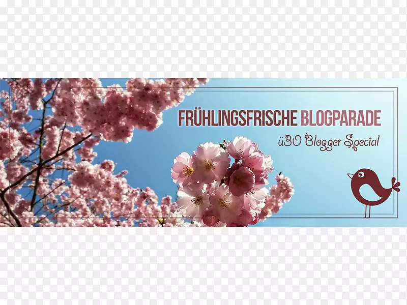 ����ʱ�в���google���´���-��ô���-������